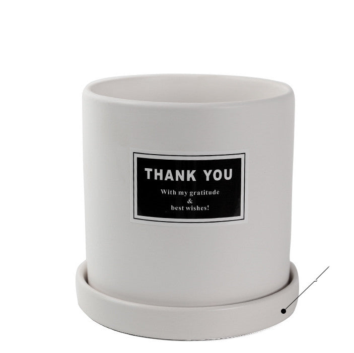 The Good Find Shop Indoor ceramic flower pot with tray