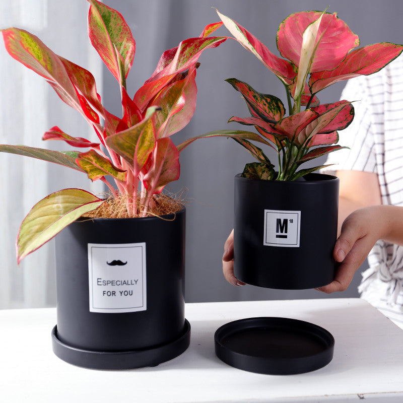 The Good Find Shop Indoor ceramic flower pot with tray