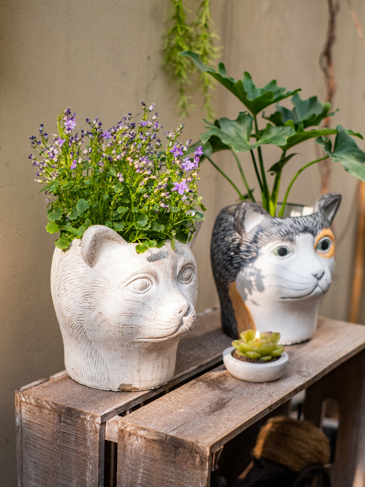 The Good Find Shop Animal Head Cartoon Flower Pot Succulent Cement Flower Balcony Garden Decoration