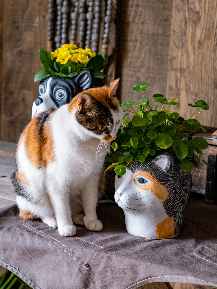 The Good Find Shop Animal Head Cartoon Flower Pot Succulent Cement Flower Balcony Garden Decoration