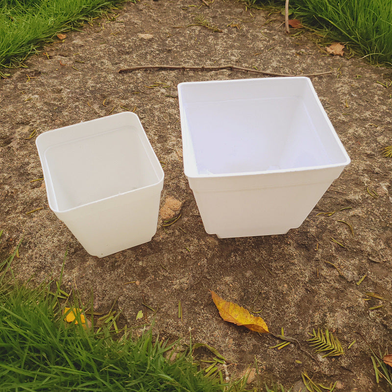 The Good Find Shop Colorful Frosted Plastic Square Pots – Thick Mini Flower Planters