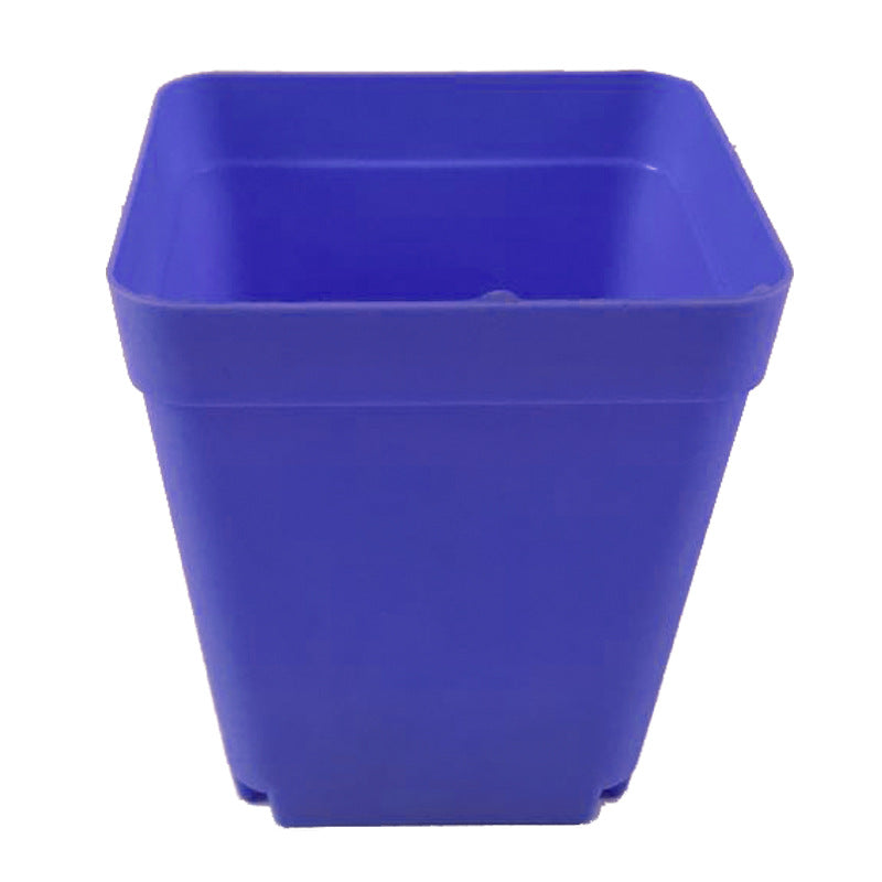 The Good Find Shop Colorful Frosted Plastic Square Pots – Thick Mini Flower Planters