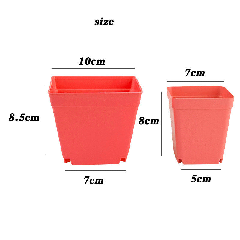 The Good Find Shop Colorful Frosted Plastic Square Pots – Thick Mini Flower Planters