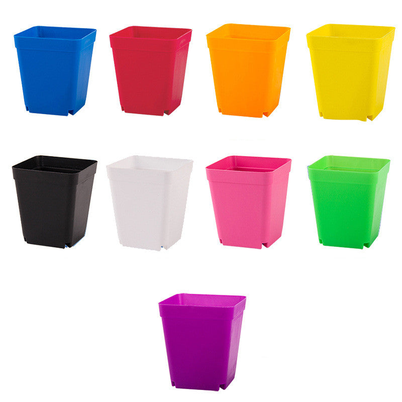 The Good Find Shop Colorful Frosted Plastic Square Pots – Thick Mini Flower Planters