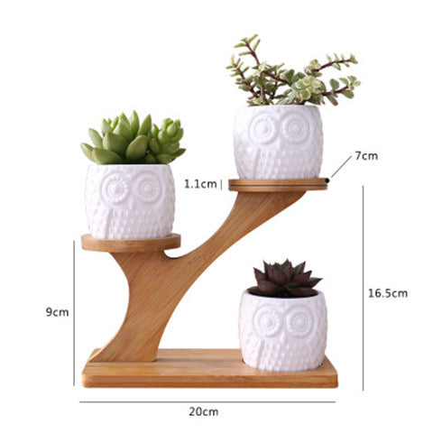 The Good Find Shop White Creative Succulent Ceramic Owl With Treetop Bamboo Frame