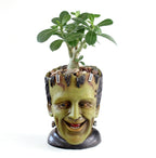 The Good Find Shop Fleshy Animals are Home Furnishings for Plants and POTS