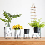 The Good Find Shop North Flower Pot Iron Flower Stand Green Radish Office Living Room Home