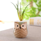 The Good Find Shop Owl Pottery Flowerpots in Six Pieces