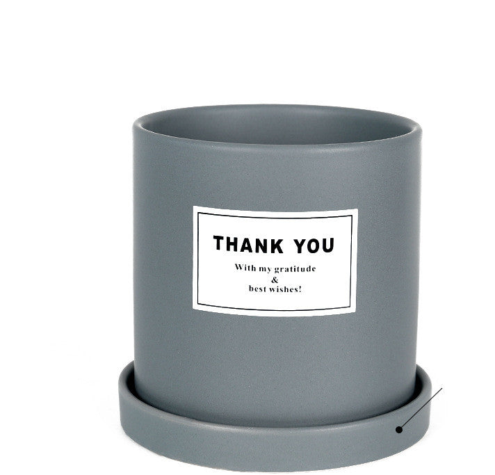 The Good Find Shop Indoor ceramic flower pot with tray