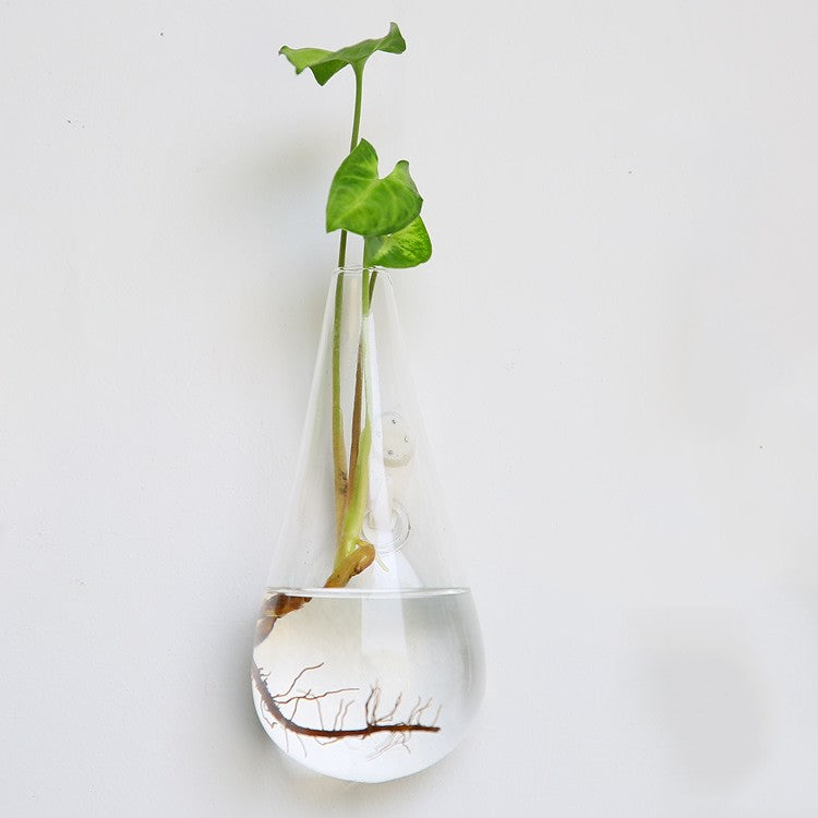 The Good Find Shop Fashion Wall Hanging Glass Flower Vase Terrarium Wall Fish Tank Aquarium Container Flower Planter Pots Home Garden Decoration