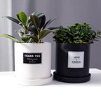 The Good Find Shop Indoor ceramic flower pot with tray
