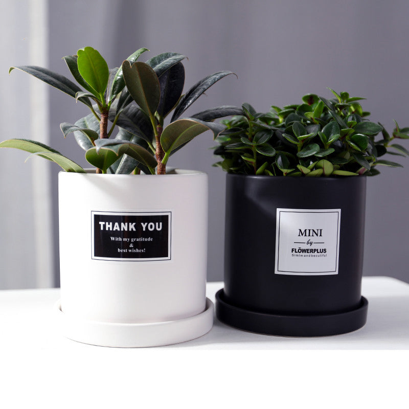 The Good Find Shop Indoor ceramic flower pot with tray