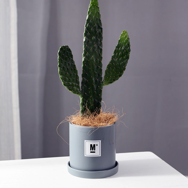 The Good Find Shop Indoor ceramic flower pot with tray