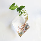 The Good Find Shop Fashion Wall Hanging Glass Flower Vase Terrarium Wall Fish Tank Aquarium Container Flower Planter Pots Home Garden Decoration