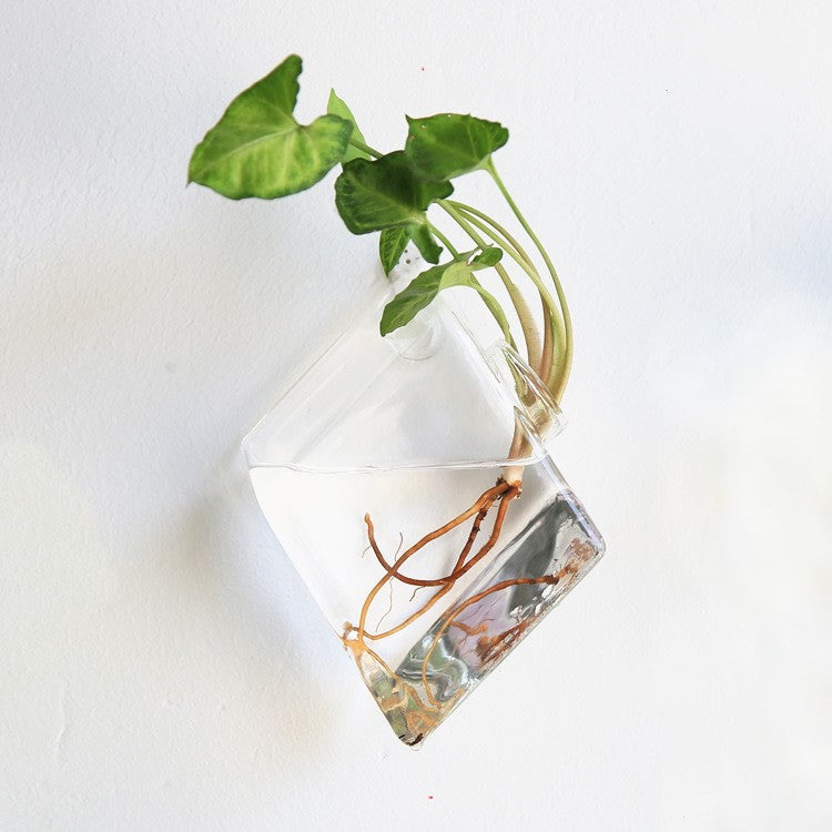 The Good Find Shop Fashion Wall Hanging Glass Flower Vase Terrarium Wall Fish Tank Aquarium Container Flower Planter Pots Home Garden Decoration