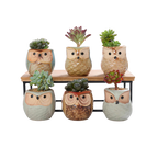 The Good Find Shop Owl Pottery Flowerpots in Six Pieces