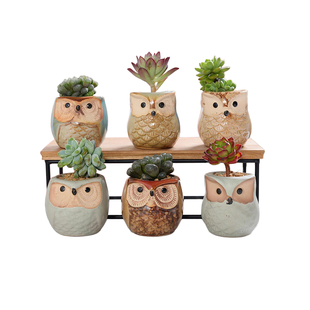 The Good Find Shop Owl Pottery Flowerpots in Six Pieces