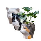 The Good Find Shop Animal Head Cartoon Flower Pot Succulent Cement Flower Balcony Garden Decoration