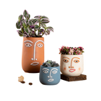 The Good Find Shop Succulent Flower Pot Living Room Balcony Individual Large Caliber Orchid Plant Pot