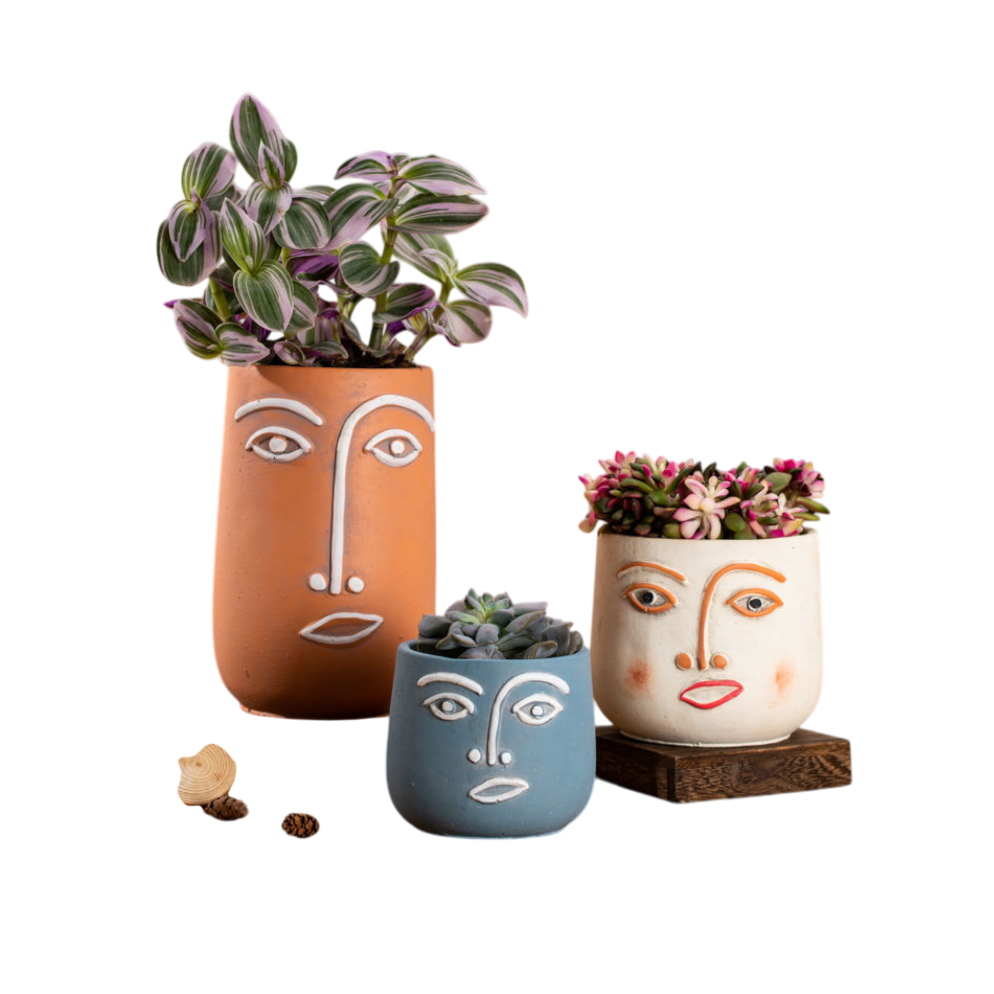 The Good Find Shop Succulent Flower Pot Living Room Balcony Individual Large Caliber Orchid Plant Pot